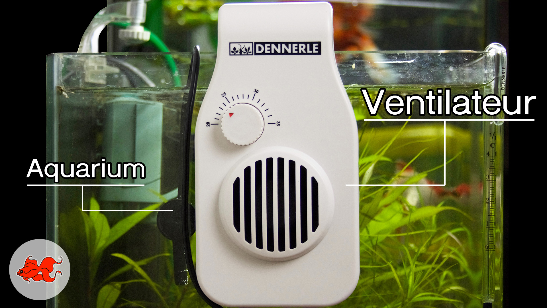 Ventilateur pour aquarium Dennerle Nano CoolAir eco