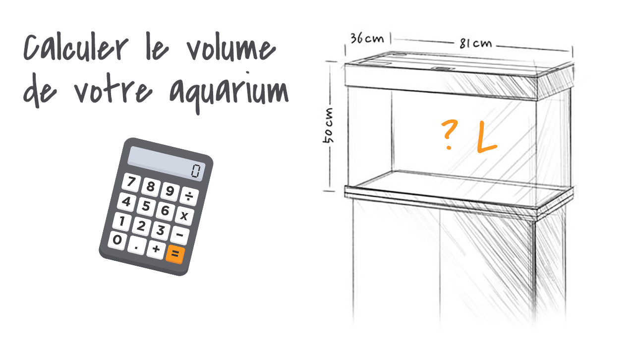 Calcul du volume de votre aquarium