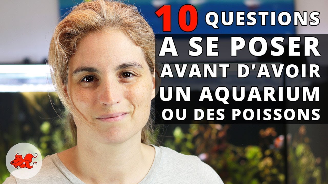 10 questions à se poser avant d'acheter un aquarium et des poissons
