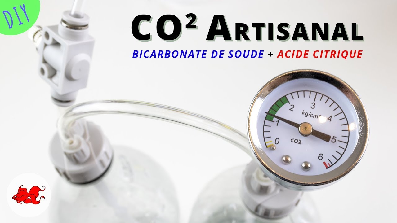 DIY CO2 Artisanal pour aquarium Bicarbonate de soude + Acide citrique