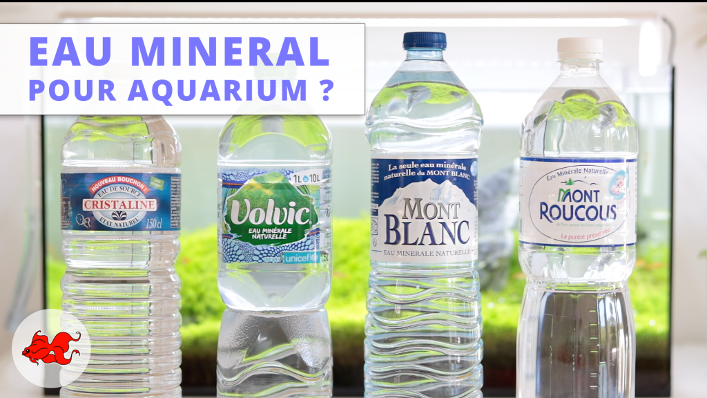 Quelles sont les meilleures eaux minérales ou eaux de source ?