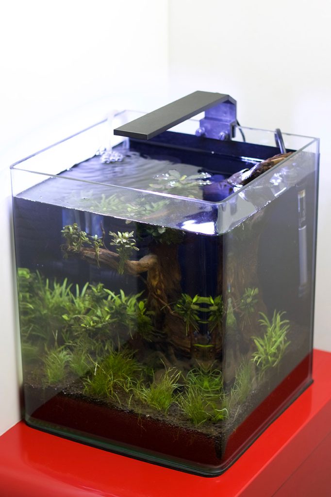 Nano cube 20L avec LED Chihiros C-series