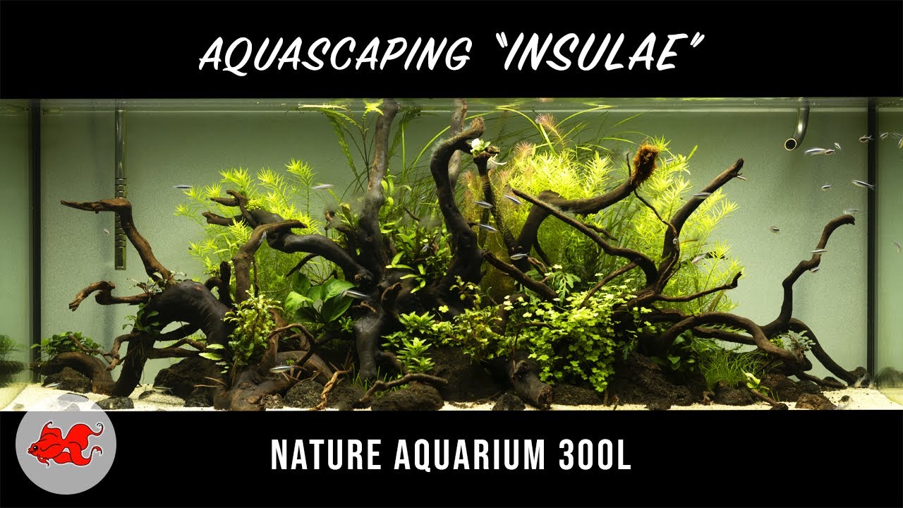 Sol aquarium neutre et sol technique d'aquarium - Miniaqua77